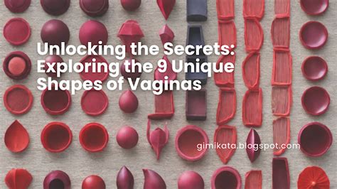 vaginaspeludas|vagina.